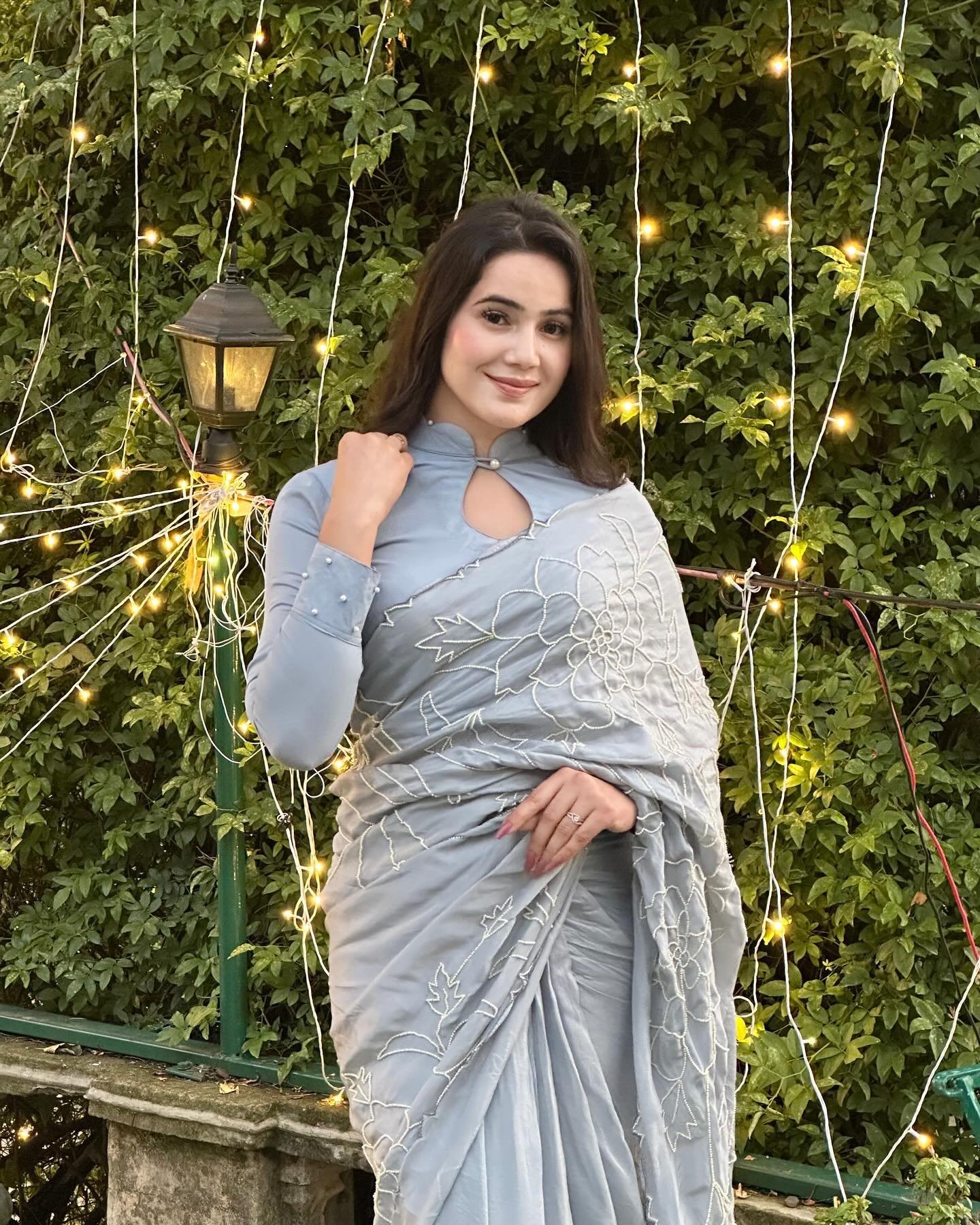 Grey Saree Organza Embroidery Cut-dana Floral With