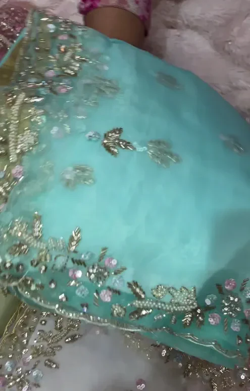 Designer Party Wear Organza saree with shiny handwork - Image 6