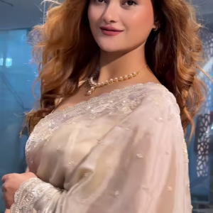 Party Modern Embroidered with Heavy Border Organza Brown Saree with Unstitched Blouse