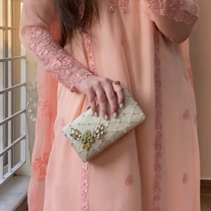 Blush Pink Embroidered Chiffon Suit – A Dreamy Blend of Elegance & Grace