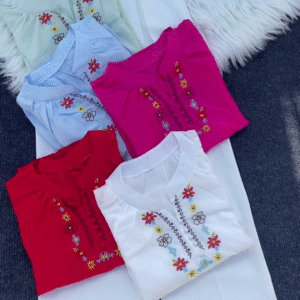 Multicolor Floral Embroidered Shirt Collection β Casual Ethnic Tops for Women